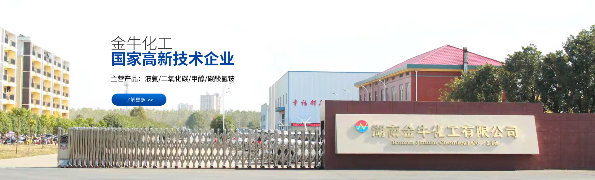湖南化工研究院有限公司-中型化肥化工-碳酸氫铵